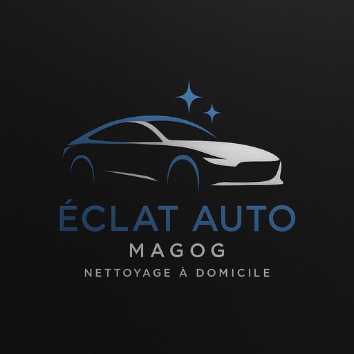 Lavage intérieur auto (60$)